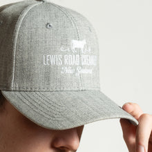 Load image into Gallery viewer, LRC Logo Baseball Cap (Gray)