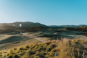 Half & Half – Lewis Road Creamery NZ